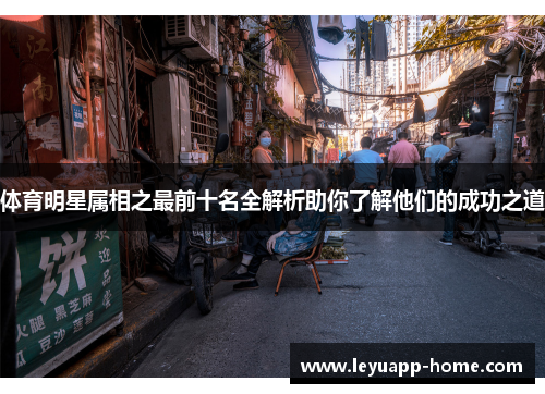 体育明星属相之最前十名全解析助你了解他们的成功之道