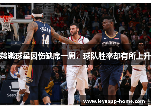 鹈鹕球星因伤缺席一周，球队胜率却有所上升